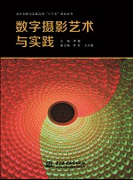 <b>數字攝影藝術與實踐（設計創新與實踐應</b>